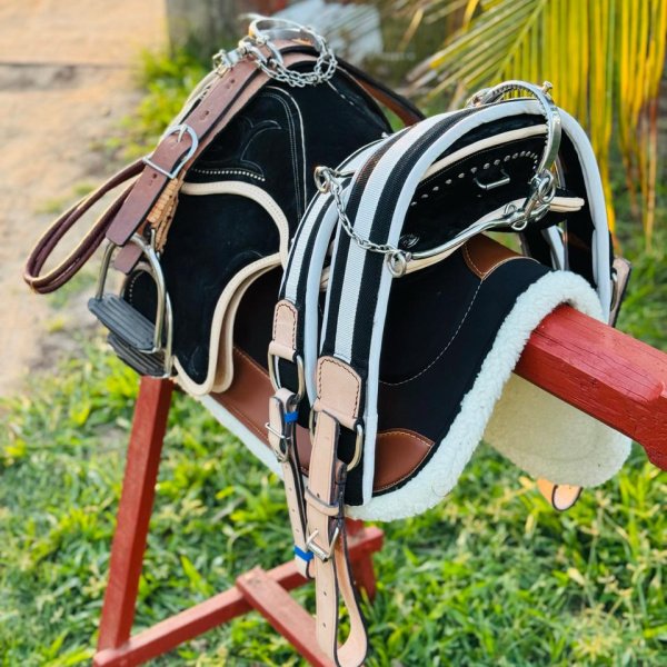 O kit dos seus sonhos! 🐎💸